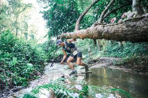 BIB: 
                            <button type="button" onclick="openModal(25442137)" class="btn btn-primary btn-sm float-right btn-popup" data-toggle="modal" data-target=".modal-high-quality">
                        <i class="fas fa-shopping-cart"></i> Add to Cart
                    </button>
                                            <button type="button" onclick="isThisMe(25442137, true)" class="btn btn-success btn-sm float-right btn-popup btn-isme hidden" data-toggle="tooltip" data-placement="bottom" title="นี่คือรูปของคุณใช่ไหม คลิกที่นี่เพื่อเอาเข้าอัลบั้ม">
                        <i class="fas fa-plus"></i> Add to album
                    </button>
                    <button type="button" onclick="isThisMe(25442137, false)" class="btn btn-warning btn-sm float-right btn-popup btn-isnotme hidden">
                        <i class="fas fa-ban"></i> Remove from album
                    </button>